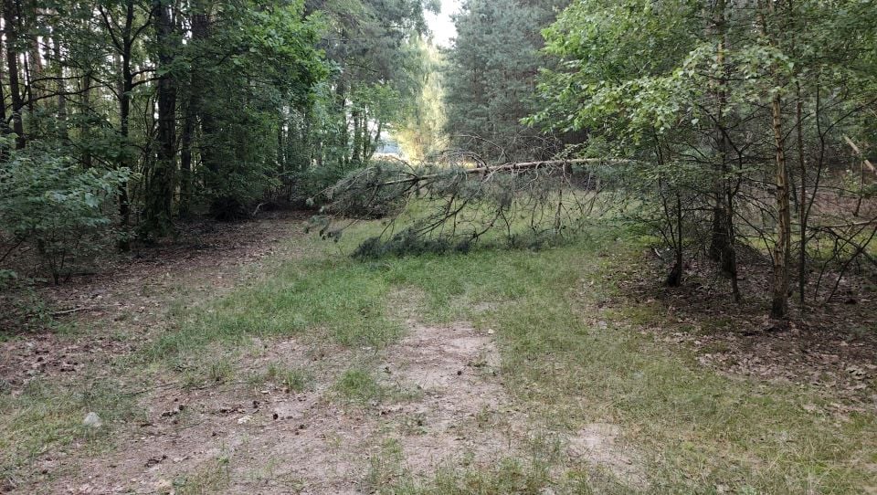 Działka inna Nowe Miasto