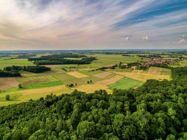 Działka leśna Cimanie