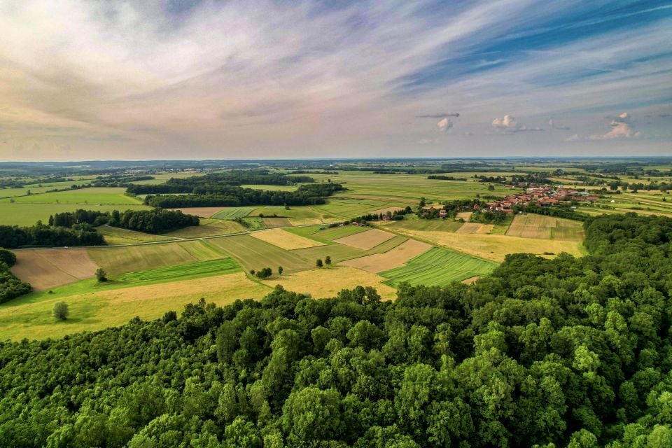 Działka leśna Cimanie