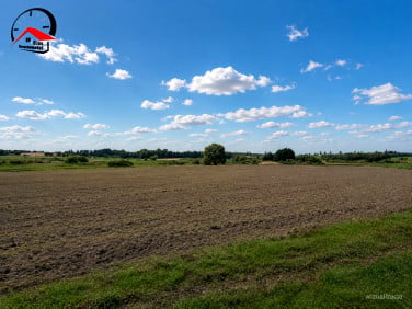 Działka Wełna