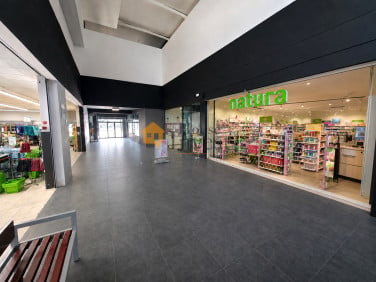 Lokal Legnica