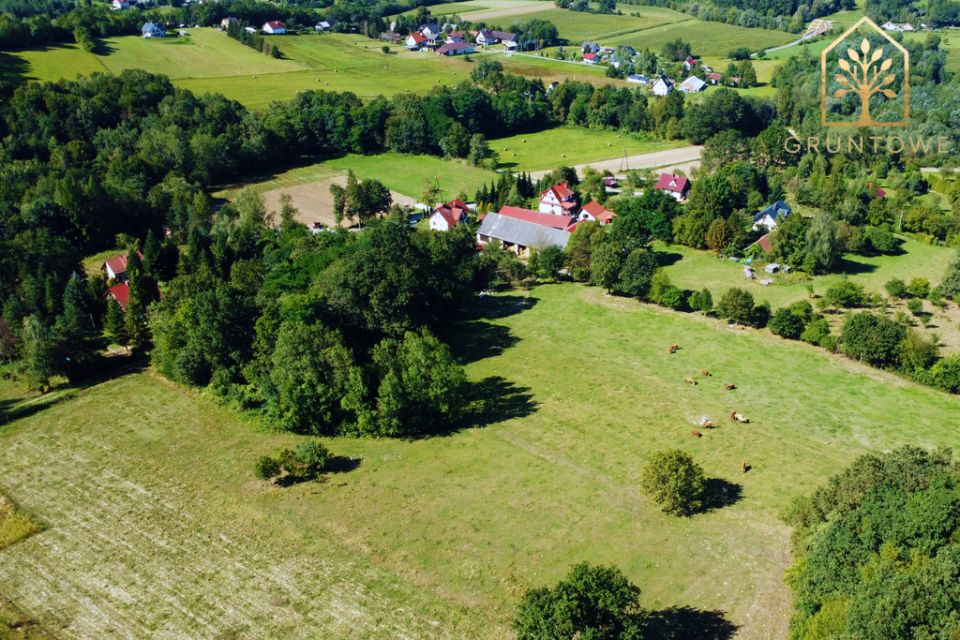 Zdjęcie 3