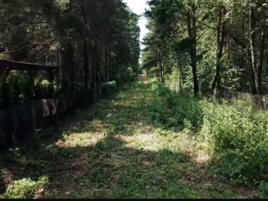Działka budowlana Bądzyń