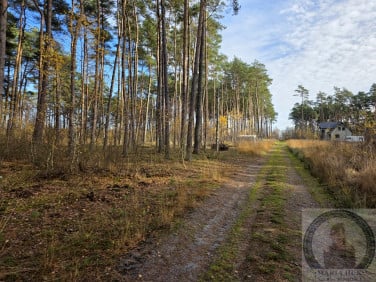 Działka budowlana DZIWNÓW
