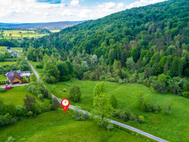 Zalesiona działka Regietów