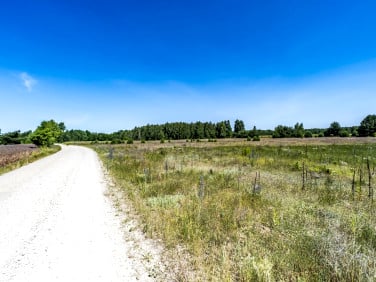 Działka inna Kośminy