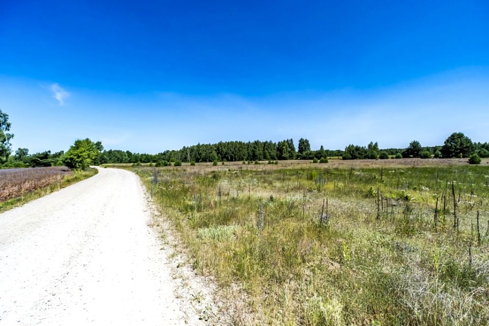 Działka inna Kośminy