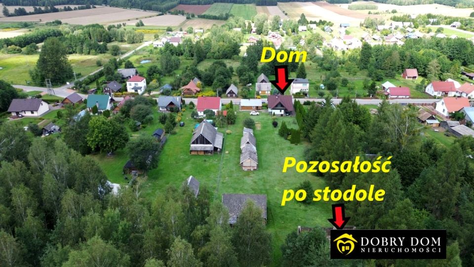 Zdjęcie 3