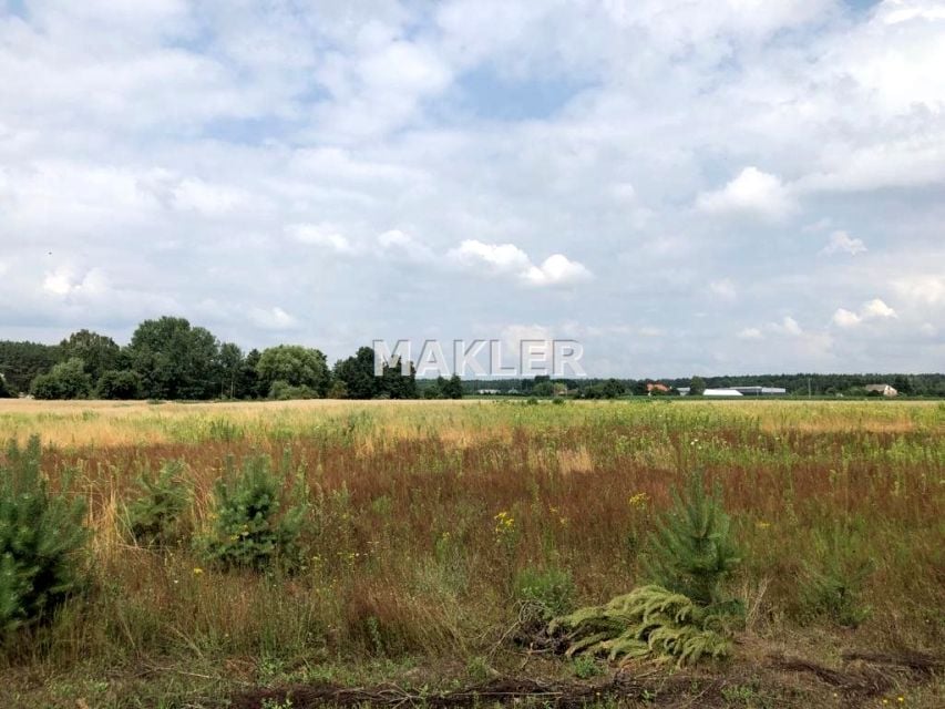 Działka budowlana Wilcze