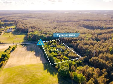 Działka przemysłowa Skorzewo