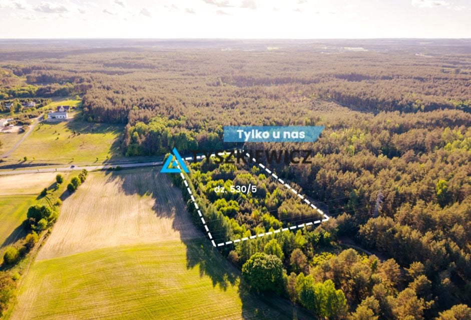 Działka przemysłowa Skorzewo