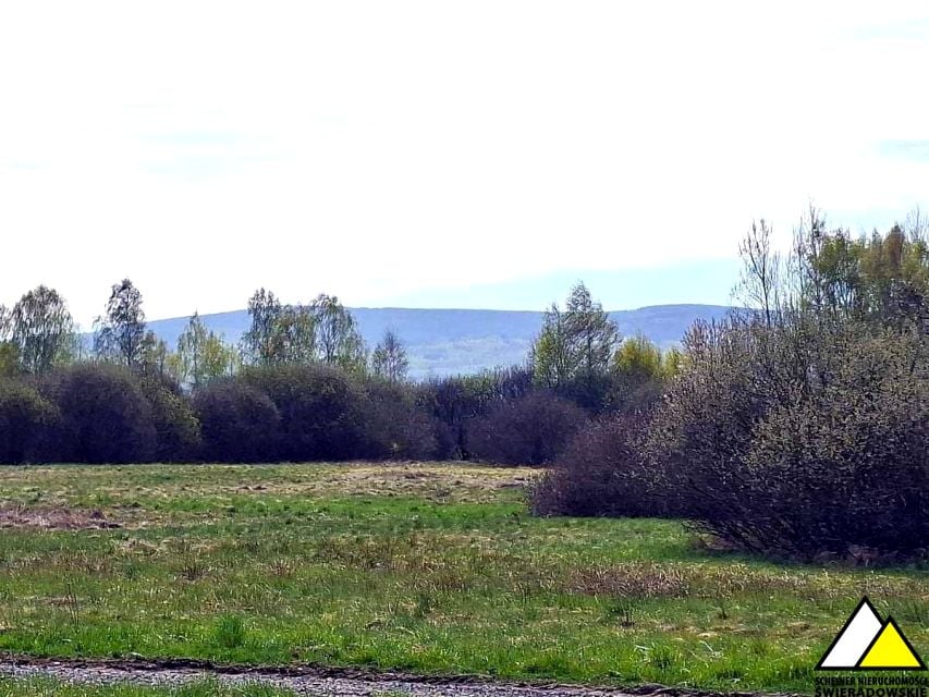 Zdjęcie 3