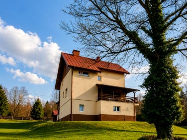 Dom Mniszków