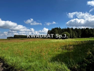 Działka budowlana Bierzów
