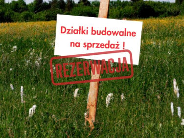 Działka Mniszek