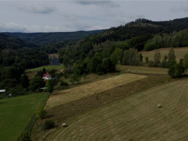 Działka budowlana Jarkowice