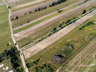 Działka usługowa Trzcianka
