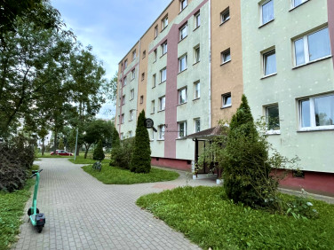 Mieszkanie Toruń wynajem