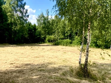 Działka leśna Radziechowy