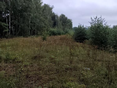 Działka budowlano-rolna Wola-Folwark