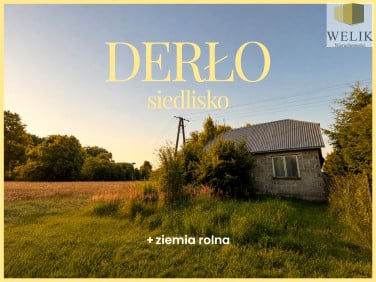 Dom Derło