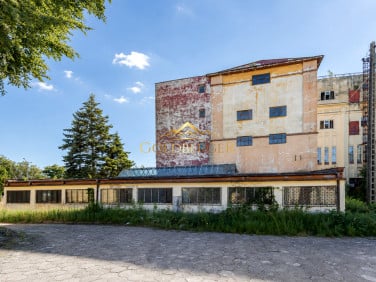 Budynek użytkowy Białogard