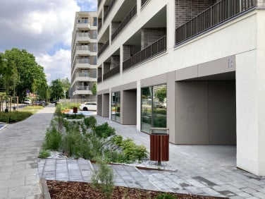 Lokal Warszawa