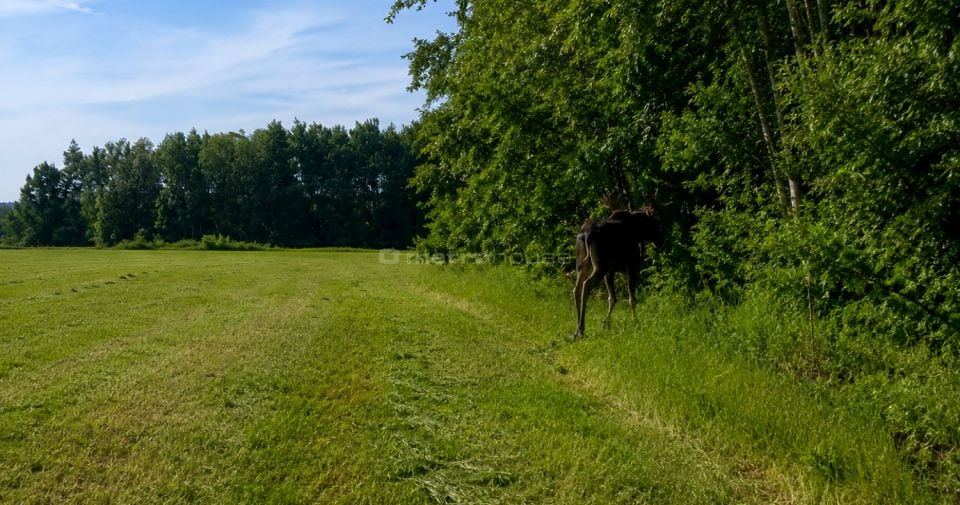 Działka budowlana Grabce Wręckie