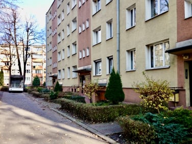 Lokal Kraków