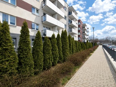 Mieszkanie Katowice