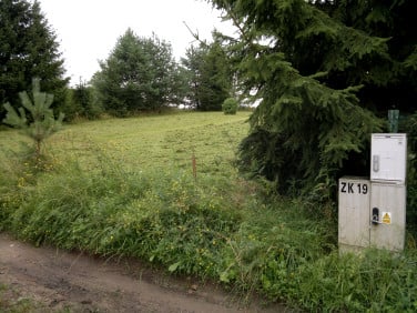 Działka rekreacyjna Sajzy