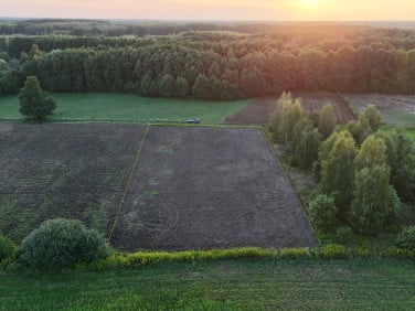 Działka budowlana Wołów
