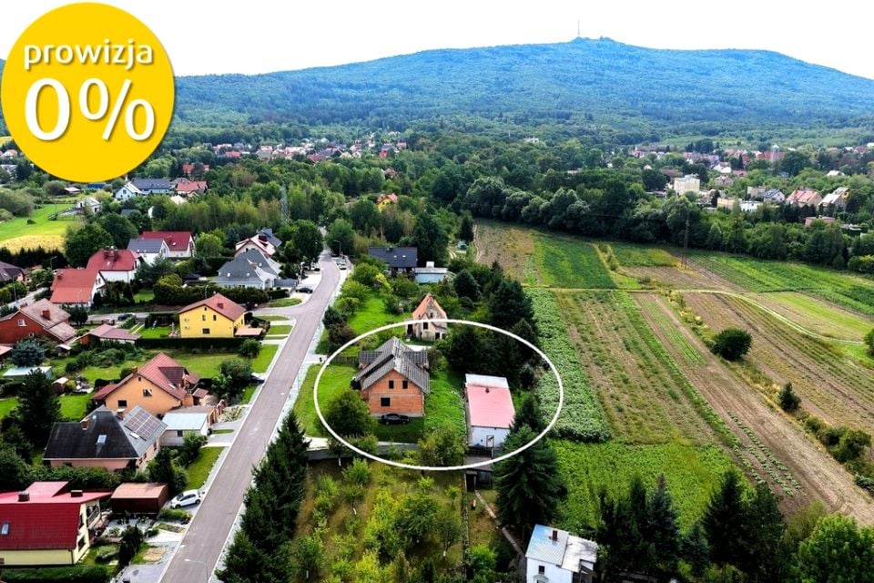 Zdjęcie 2