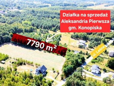 Pusta działka Aleksandria