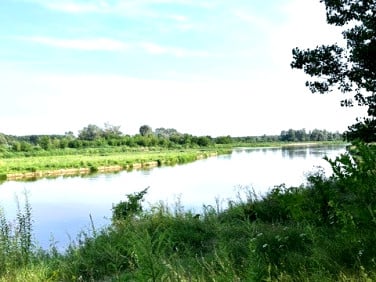 Dom Deskurów
