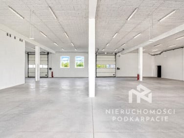 Lokal Kraczkowa