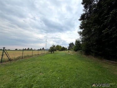 Działka budowlana Goleszów