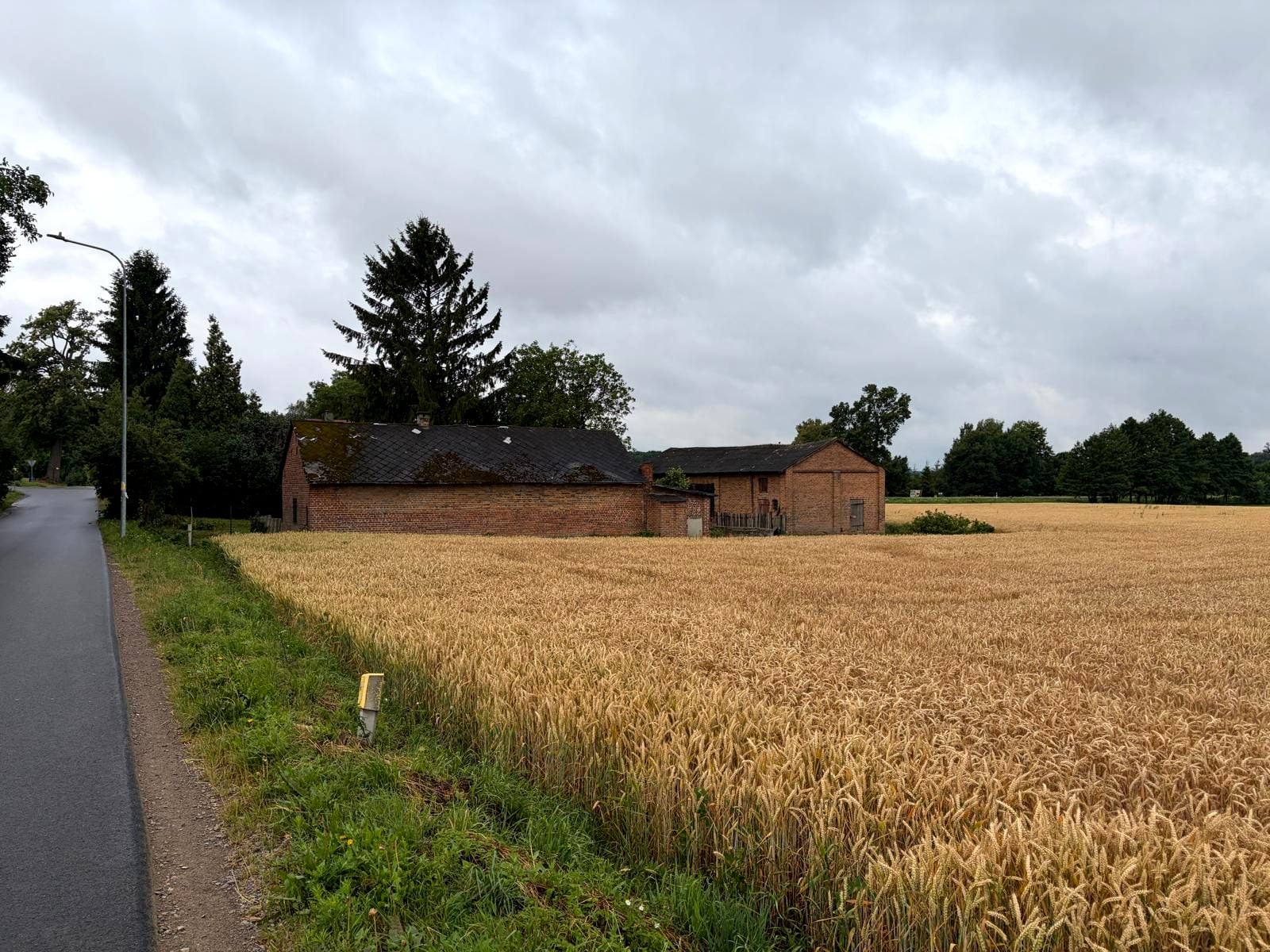 Działka Siedliskowa, ul. Kasztanowa