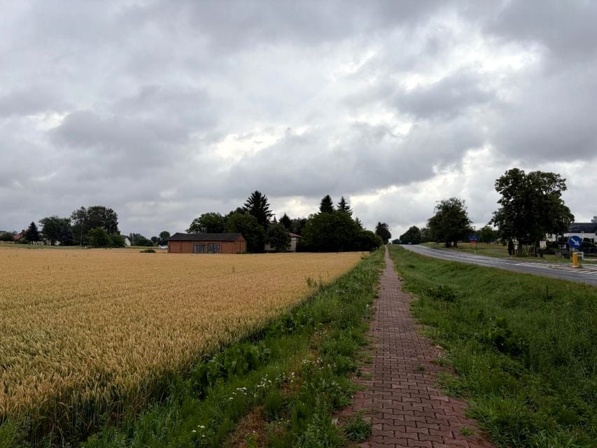 Działka siedliskowa, ul. Kasztanowa