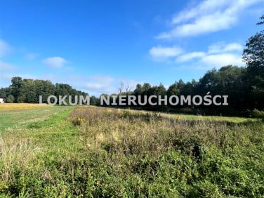 Działka rolna Gołkowice