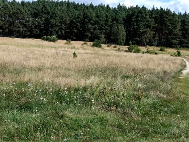 Działka budowlana Brzozowa sprzedam