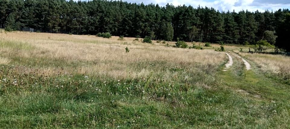 Działka budowlana Brzozowa sprzedam