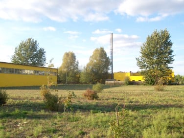 Budynek użytkowy Rogoźno