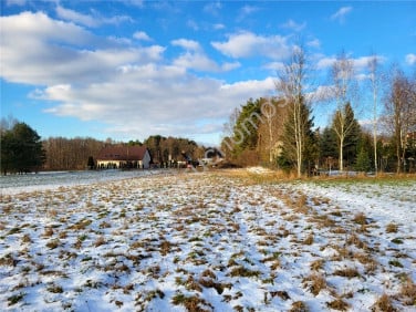 Działka budowlano-rolna Zakole-Wiktorowo