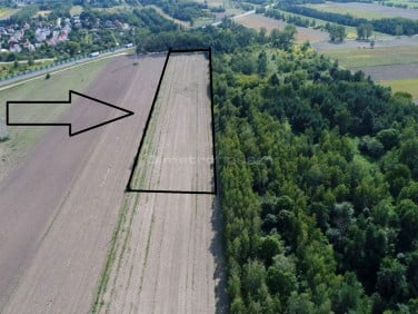 Działka budowlana Biała Podlaska