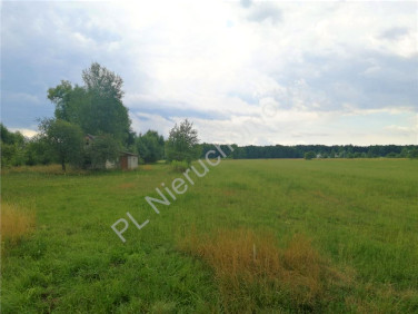 Działka Poręby