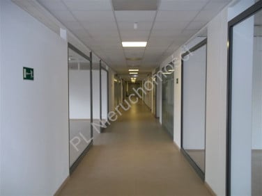 Lokal Mińsk Mazowiecki