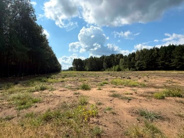 Działka budowlana Blochy