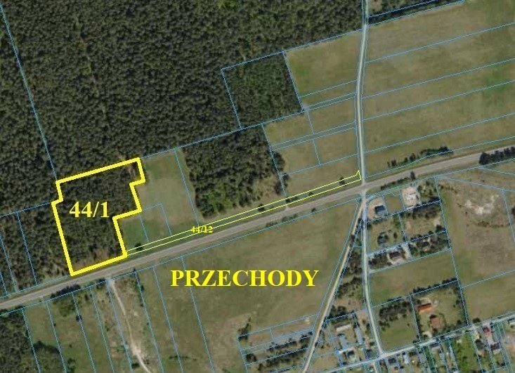 Działka leśna Przechody