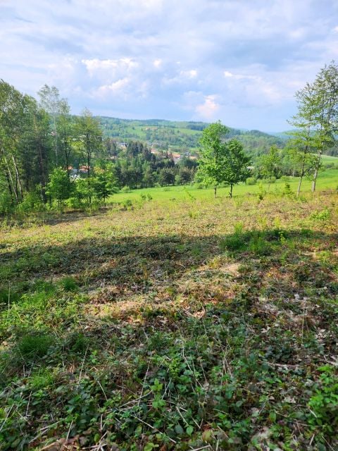 Działka budowlano-rolna Berezka